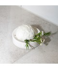 Shower Steamer Dish | White